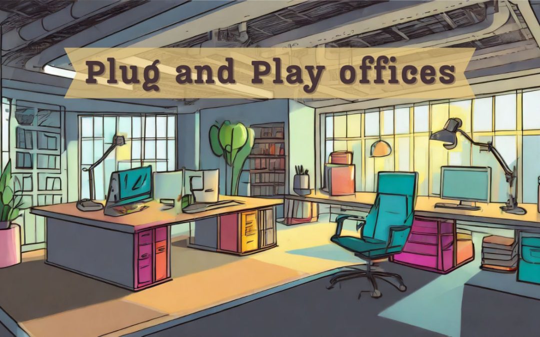 What are Plug and Play offices?