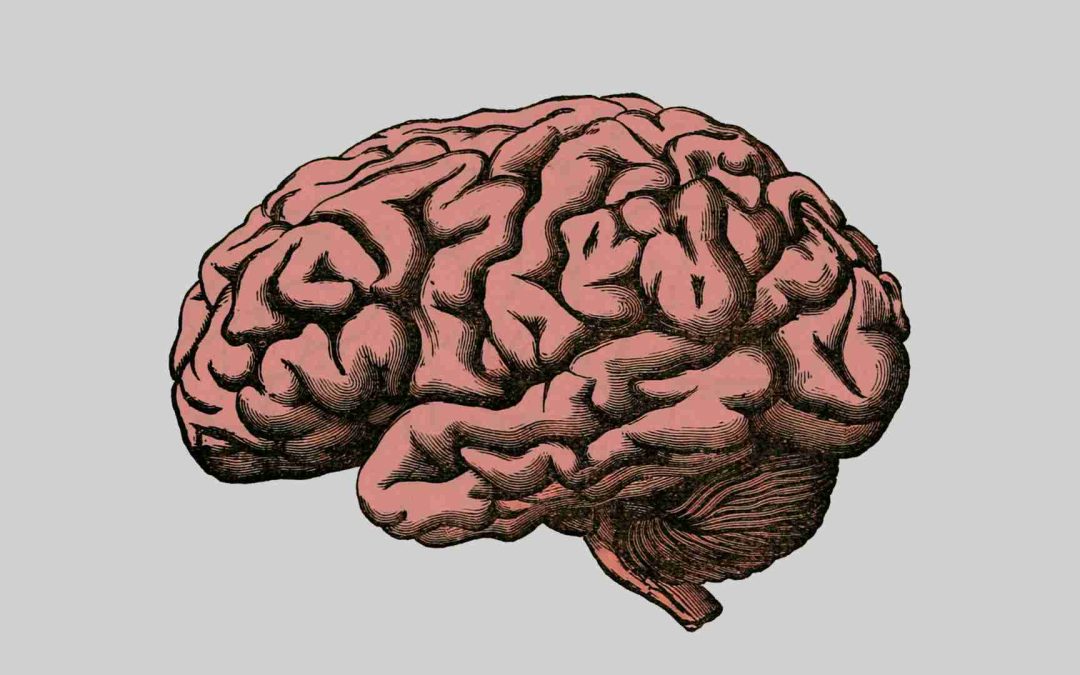 A Strong Mindset is the Only Shortcut