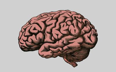 A Strong Mindset is the Only Shortcut
