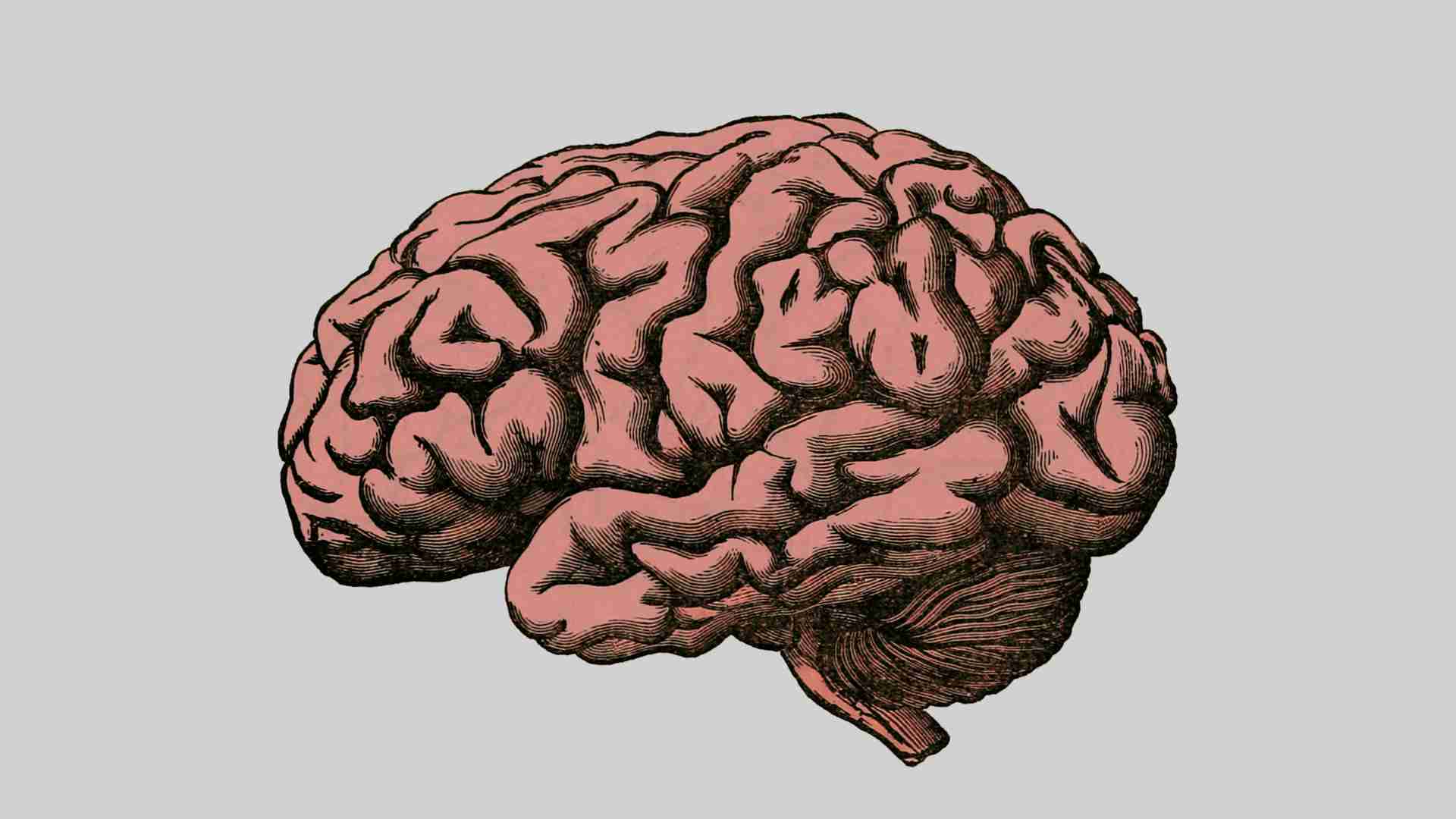 strong mindset, success, self improvement, philosophy